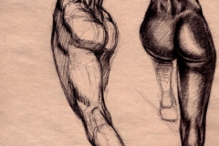 anatomy_practice1